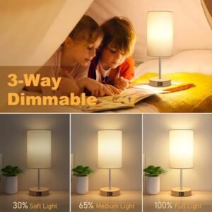 AKASUKI 3-Way Dimmable Touch Table Lamp with USB Ports